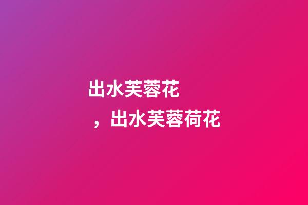 出水芙蓉花，出水芙蓉荷花-第1張-觀點-玄機派